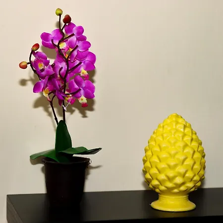 Alba E I Mori Panzió